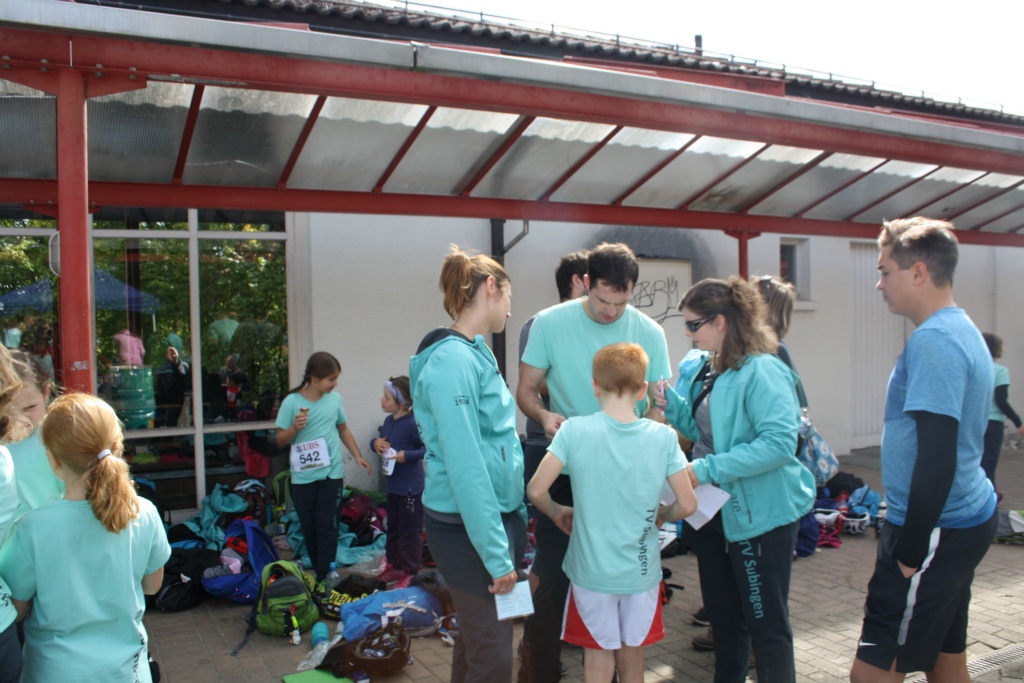 Bild 1 (118)